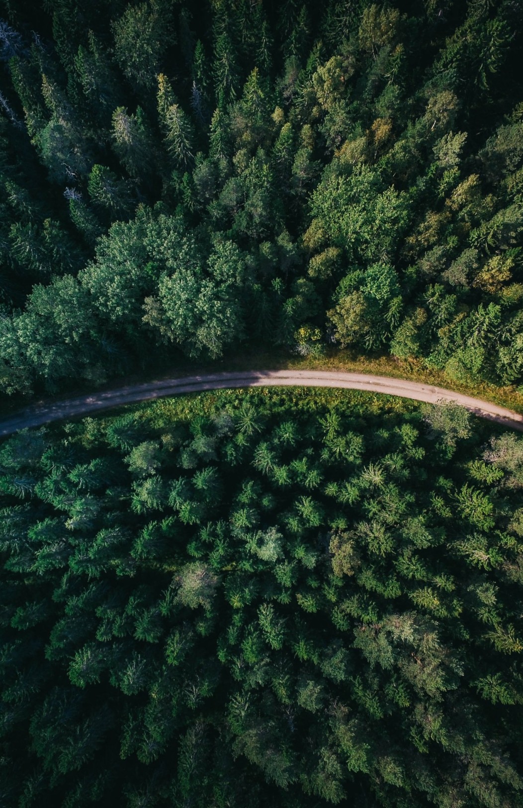 13 einfache Tipps für verantwortungsbewussteres Reisen